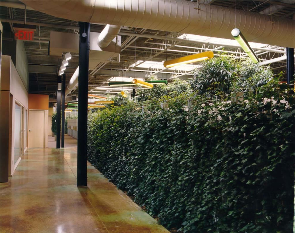 sub-bell-tv-tech-campus-green-wall